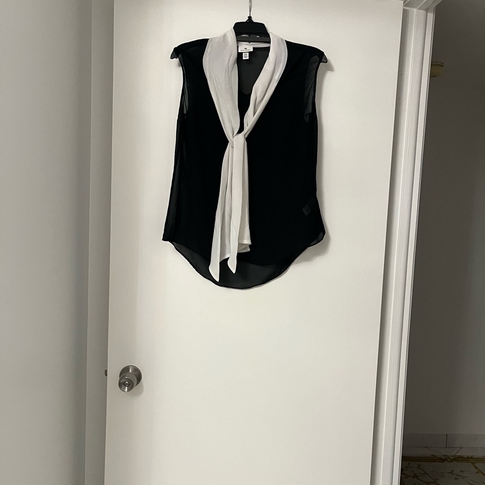Altuzarra Monochrome Sheer Blouse